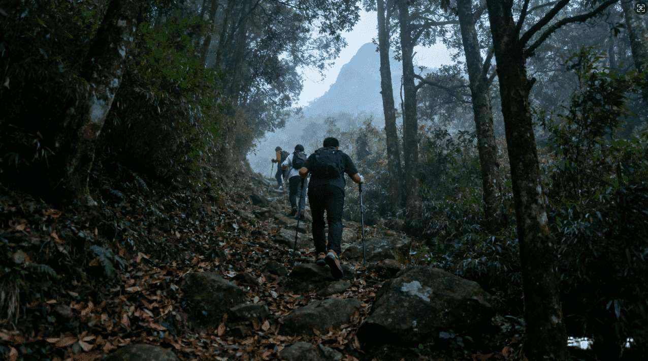 参与蚂蚁森林送加速器活动，享受极速网络体验升级